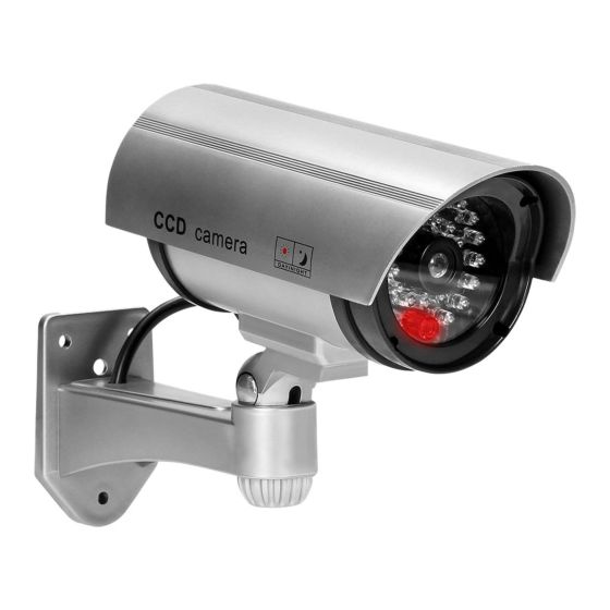 Lažna nadzorna kamera OR CCD Monitor - srebrna
